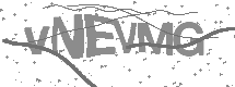 visual captcha